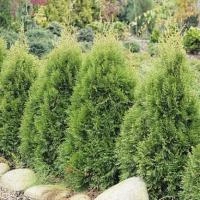 60c5131a-dcdb-11ed-97e3-001e673ebdea-1