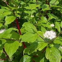 bec26504-4f0e-11ef-8910-246e9611e8f6-1