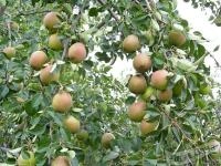 3d6d584d-0235-11ef-890b-246e9611e8f5-1