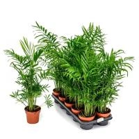 539856d3-d233-11ee-890a-246e9611e8f5-1