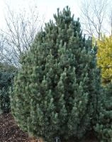 b9a0516b-c28d-11ef-8915-246e9611e8f5-1