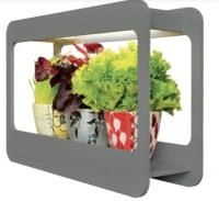 f72a2462-5682-11ec-9a2a-005056c00008-1