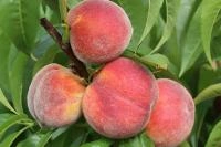 0a268943-2100-11f0-8918-246e9611e8f6-1 0a268943-2100-11f0-8918-246e9611e8f6-1