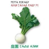 e7c93124-e6cf-11ea-86cc-005056c00008-1