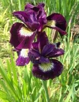 be308767-ffe5-11ef-8915-246e9611e8f5-1