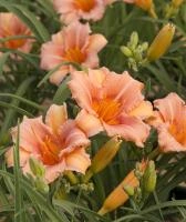 8be347a5-0010-11f0-8915-246e9611e8f5-1