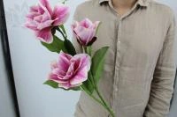 4f333f38-5a70-11f0-891b-246e9611e8f7-1