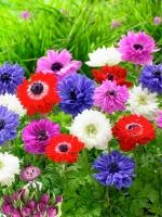 468bd10b-36d2-11ef-890e-246e9611e8f7-1 468bd10b-36d2-11ef-890e-246e9611e8f7-1