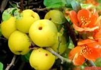 1da0da36-20e0-11f0-8918-246e9611e8f6-1 1da0da36-20e0-11f0-8918-246e9611e8f6-1