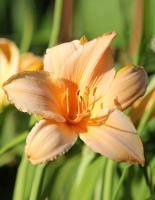 cc8dc2a4-000d-11f0-8915-246e9611e8f5-1