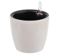 75877811-fc9c-11ee-890b-246e9611e8f5-1