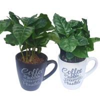 3cdb2c88-d22c-11ee-890a-246e9611e8f5-1