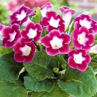 4ec6c0ef-6f33-11ec-8bcd-005056c00008-1