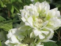 8ffdbd9c-fff8-11ef-8915-246e9611e8f5-1