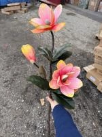 3502e302-5a61-11f0-891b-246e9611e8f7-1