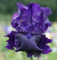 d4338ce4-eccc-11ee-890b-246e9611e8f5-1