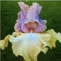 efda6040-e822-11ee-890b-246e9611e8f5-1