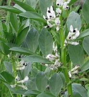 61e97cfc-e453-11e6-bb6f-001e673ebdea-1