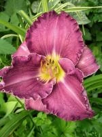 0b5db1d8-000d-11f0-8915-246e9611e8f5-1