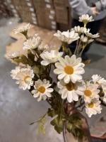 9ad96aeb-5a70-11f0-891b-246e9611e8f7-1