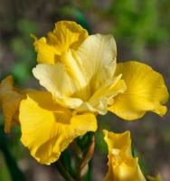 5476570c-ffe6-11ef-8915-246e9611e8f5-1