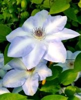 13665735-fff5-11ef-8915-246e9611e8f5-1