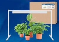 b5697905-8265-11eb-aff5-005056c00008-1