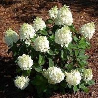 5c94b196-df3a-11ed-97e3-001e673ebdea-1