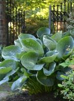 037976df-000b-11f0-8915-246e9611e8f5-1