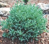 faa2e057-c376-11ef-8915-246e9611e8f5-1