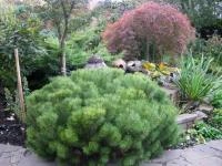 090ff430-dd17-11ed-97e3-001e673ebdea-1