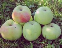 89f42fab-2f0e-11f0-8918-246e9611e8f6-1 89f42fab-2f0e-11f0-8918-246e9611e8f6-1