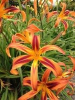 41bac5ec-0239-11ef-890b-246e9611e8f5-1