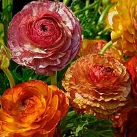 b90d5b99-ad26-11e8-9ac1-005056c00008-1