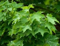 106fde17-114b-11f0-8918-246e9611e8f6-1