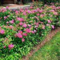 a67b6024-113c-11f0-8918-246e9611e8f6-1