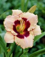 70fb397b-000e-11f0-8915-246e9611e8f5-1