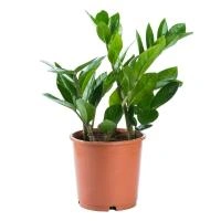 02a4c36b-d710-11ef-8915-246e9611e8f5-1 02a4c36b-d710-11ef-8915-246e9611e8f5-1