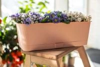 8e7beb32-a6c5-11ed-8508-001e673ebdea-1