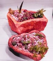 10861d7a-54a7-11ef-8910-246e9611e8f6-1