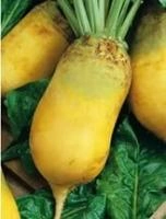 ccf684bd-a914-11e4-8f7c-001e673ebdea-1