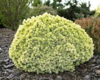 970406d8-e692-11ee-890a-246e9611e8f5-1