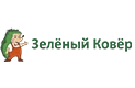 Зеленый ковер