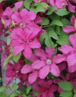 6ff483dc-fff5-11ef-8915-246e9611e8f5-1