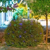 5364ad79-a8e2-11eb-93b3-005056c00008-1 5364ad79-a8e2-11eb-93b3-005056c00008-1