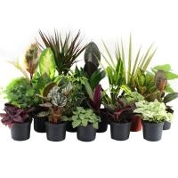 17e547cd-93dc-11ec-8510-005056c00008-1