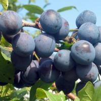 5921be69-201c-11f0-8918-246e9611e8f6-1 5921be69-201c-11f0-8918-246e9611e8f6-1