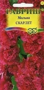 834cf32e-dcea-11dd-9138-00500454e615-2 834cf32e-dcea-11dd-9138-00500454e615-2