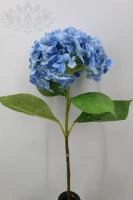 f54416a2-5a6b-11f0-891b-246e9611e8f7-1