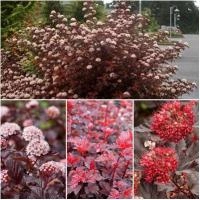 c846f051-2f89-11ef-890e-246e9611e8f7-1